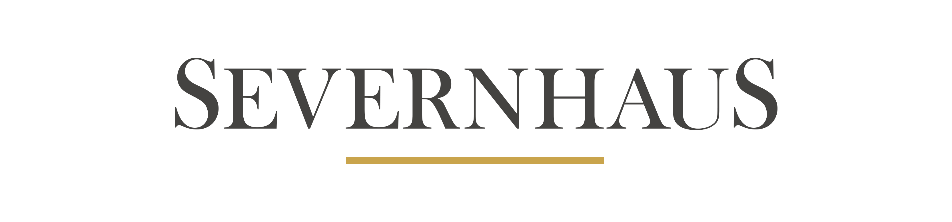 SevernHaus large logo